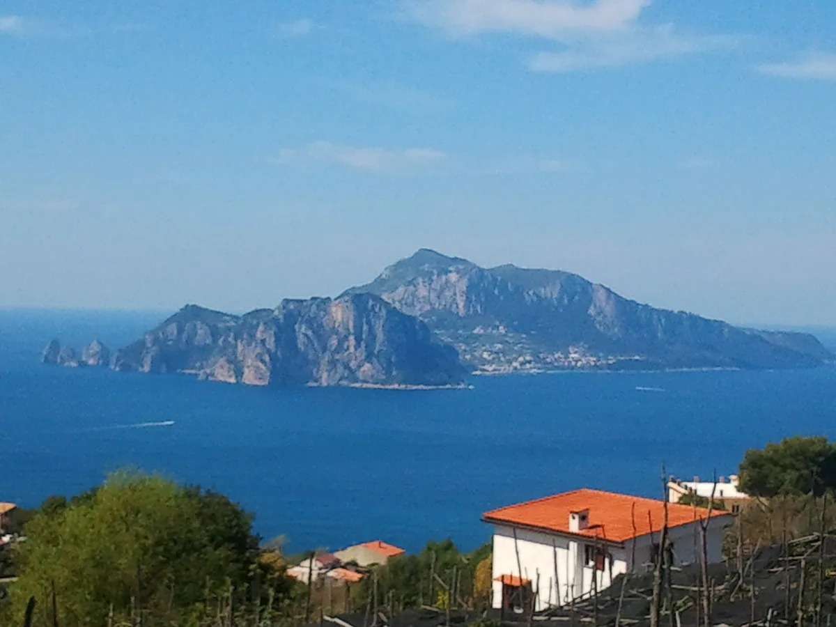 Come arrivare a Monte Solaro da Capri e Anacapri: tutte le opzioni