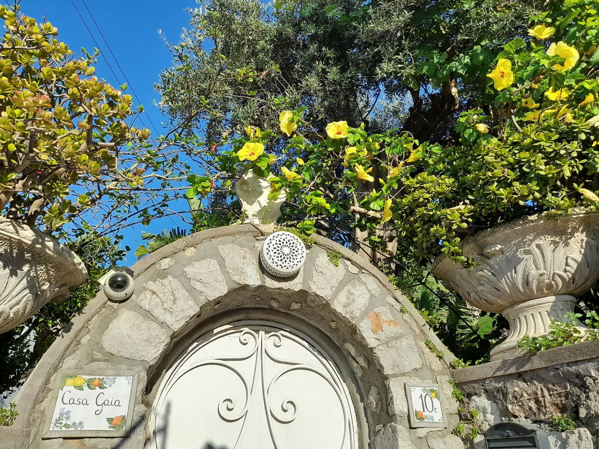 Passeggiata dalla Piazzetta: Capri a piedi tra storia e panorami